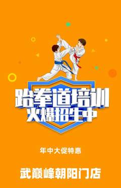 跆拳道抢购单品抢购年中大促活动配图海报