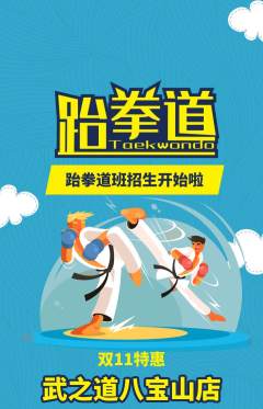 跆拳道抢购套组抢购双11活动配图海报