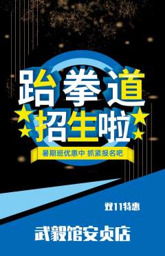 跆拳道抢购单品抢购双11活动配图海报
