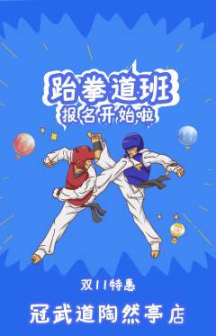 跆拳道抢购多单品抢购双11活动配图海报