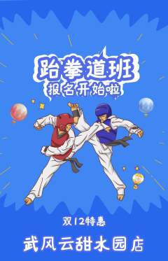 跆拳道抢购单品抢购双12活动配图海报