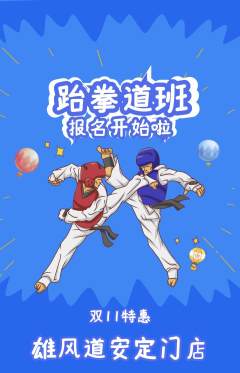跆拳道抢购单品抢购双11活动配图海报