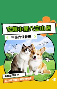 宠物店抢购套组抢购年终大促活动配图海报
