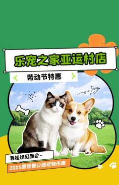 宠物店抢购单品抢购劳动节活动配图海报