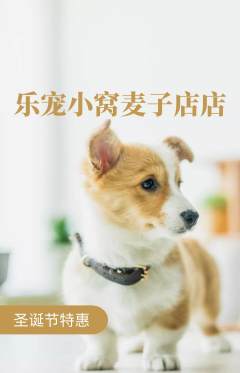 宠物店抢购满血版圣诞节活动配图海报