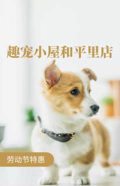 宠物店抢购满血版劳动节活动配图海报