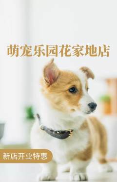 宠物店抢购满血版新店开业活动配图海报