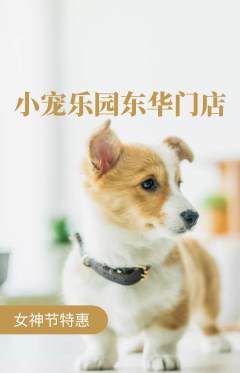宠物店抢购套组抢购女神节活动配图海报