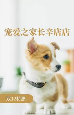 宠物店抢购自选套组抢购双12活动配图海报