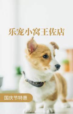 宠物店抢购自选套组抢购国庆节活动配图海报