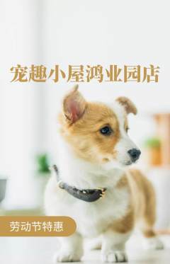 宠物店抢购自选套组抢购劳动节活动配图海报