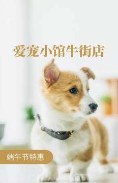 宠物店抢购单品抢购端午节活动配图海报