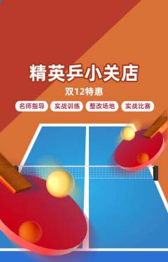 乒乓球馆抢购单品抢购双12活动配图海报