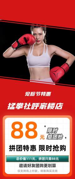 拳击格斗拼团无阶梯团宠粉节活动配图海报