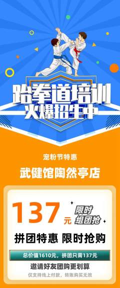 跆拳道拼团满血版宠粉节活动配图海报