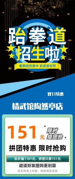 跆拳道拼团满血版双11活动配图海报