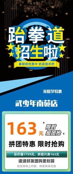 跆拳道拼团价格阶梯团宠粉节活动配图海报