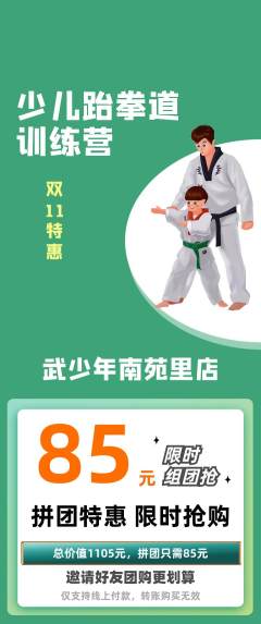 跆拳道拼团满血版双11活动配图海报