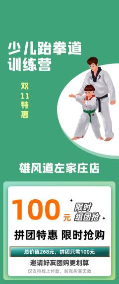 跆拳道拼团无阶梯团双11活动配图海报